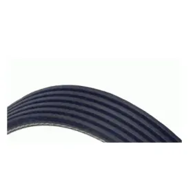 Courroie Dayco 6PK1355